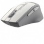Mouse A4tech - FG30 Grey wireless