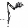 Trust GXT 253 Emita Streaming Microphone
